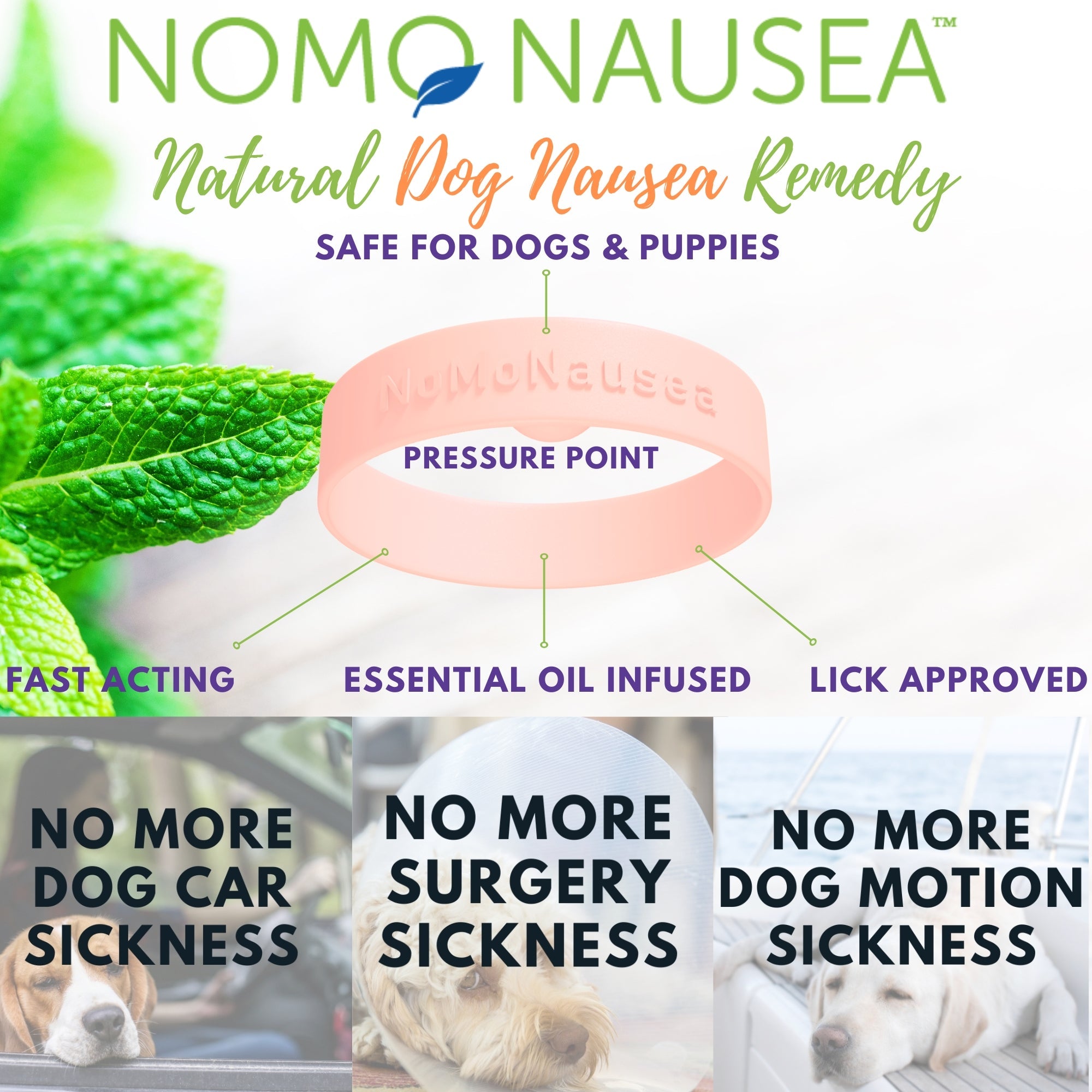 Dog nausea relief for a plane ride