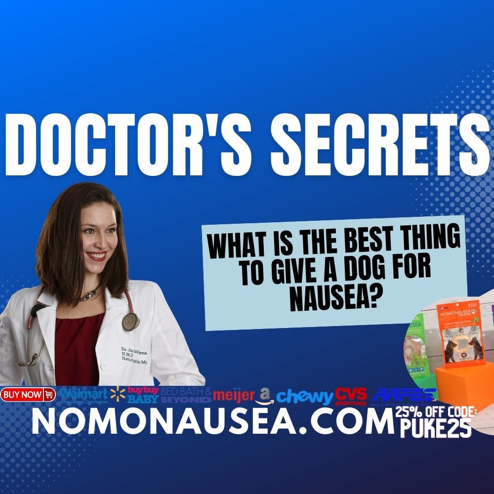 What is the best thing to give a dog for nausea?