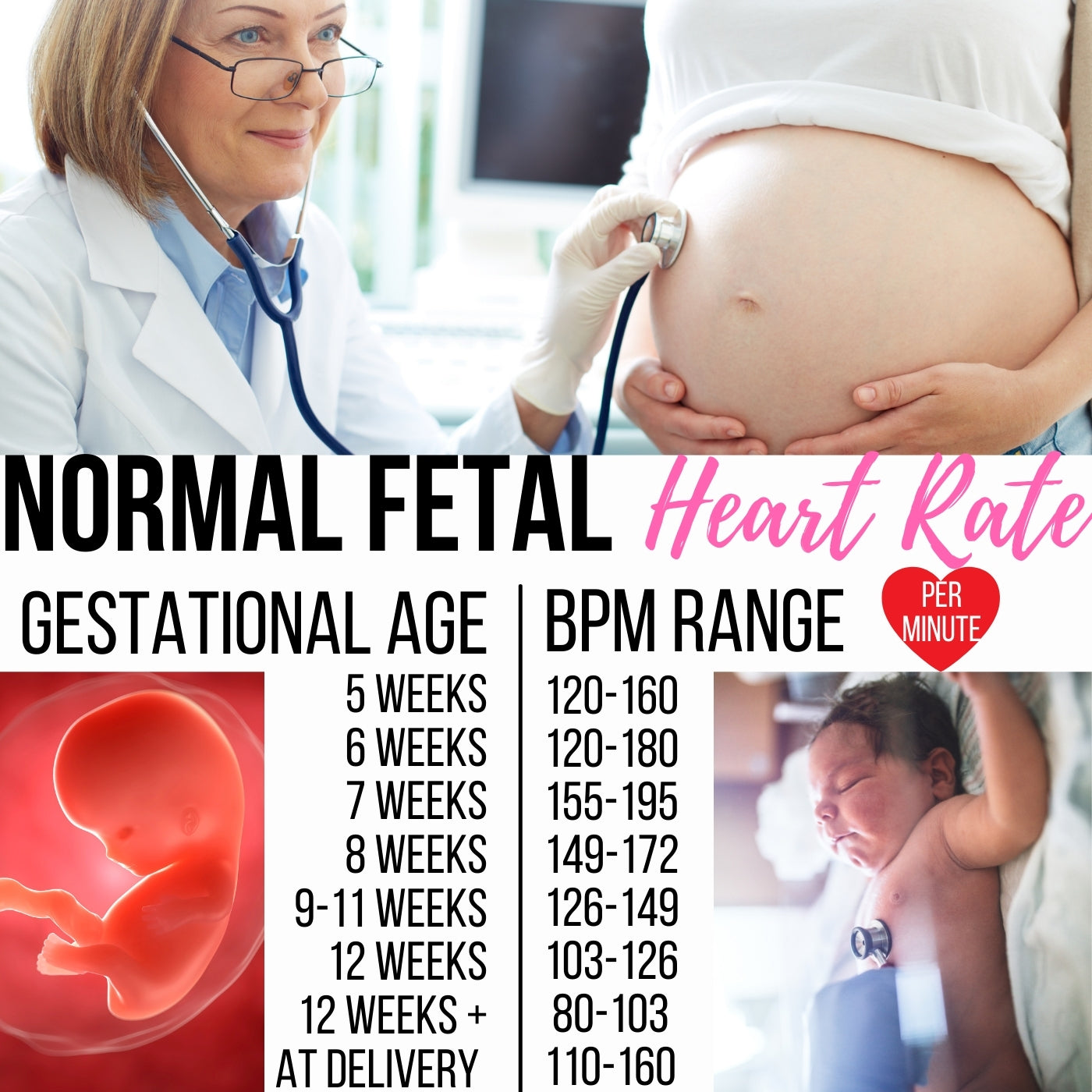 When Can You Hear Baby Heart Rate