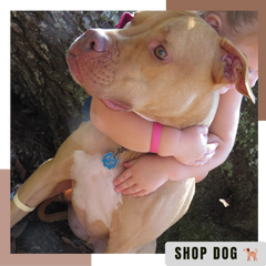 Anti Nausea for Dogs | M-L Dogs & Sick Puppy Band | NoMo Nausea Dog Bracelet Anti Nausea for Dogs | M-L Dogs & Sick Puppy Band | NoMo Nausea Dog Bracelet