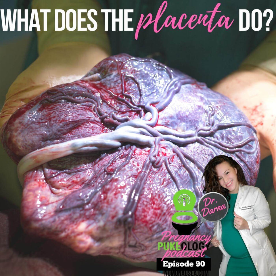 What does the placenta do?