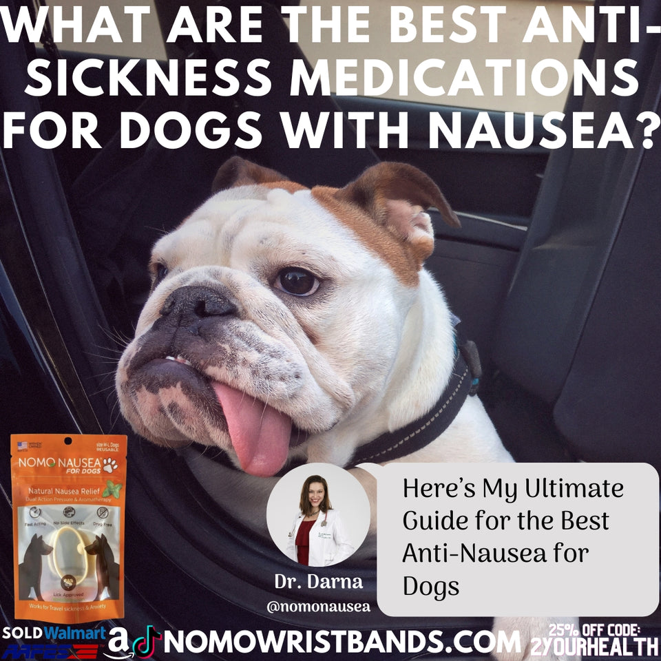 What are the best anti-sickness medications for dogs with nausea?