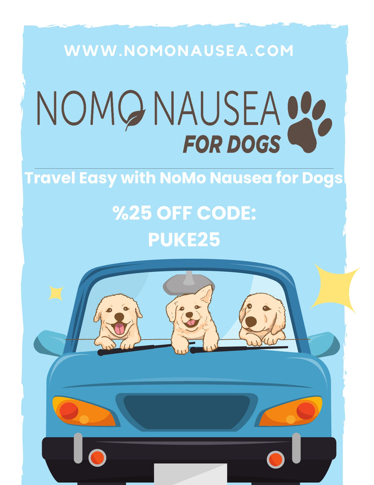 Best Anti-Nausea for Dogs & How Can NoMo Nausea Dog Help with Vomiting in Puppies?
