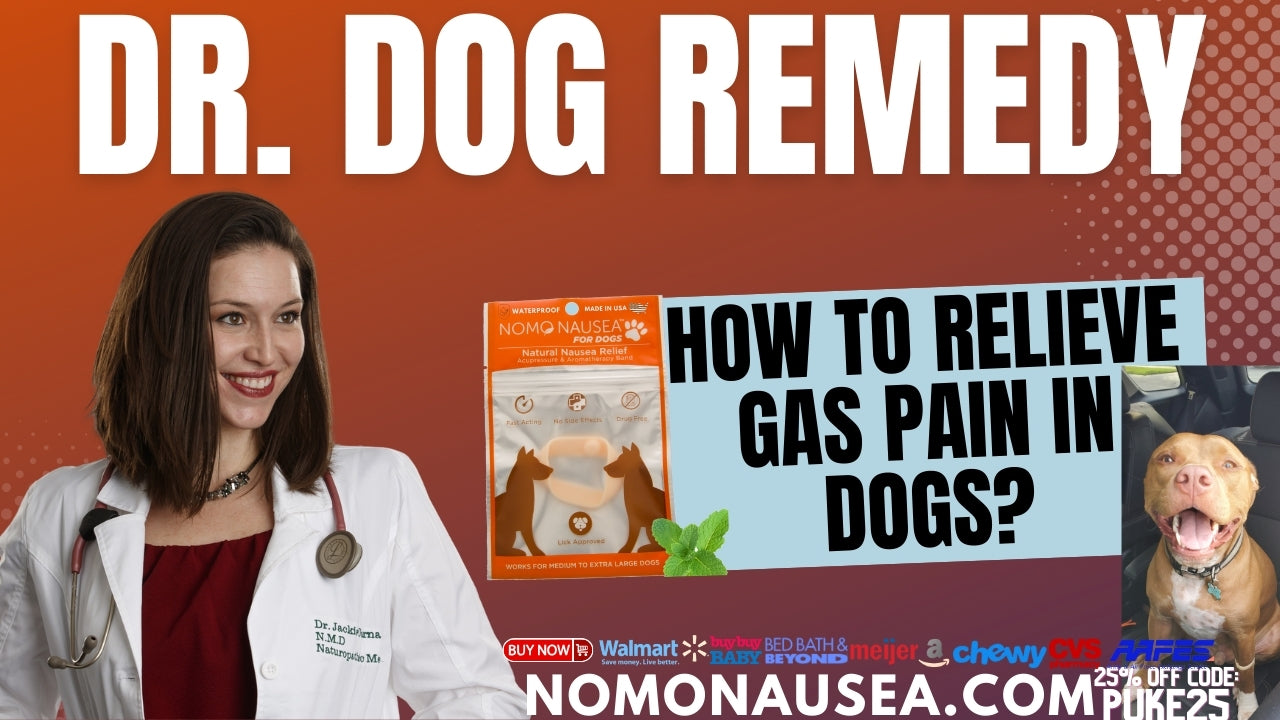 How to relieve gas pain in dogs