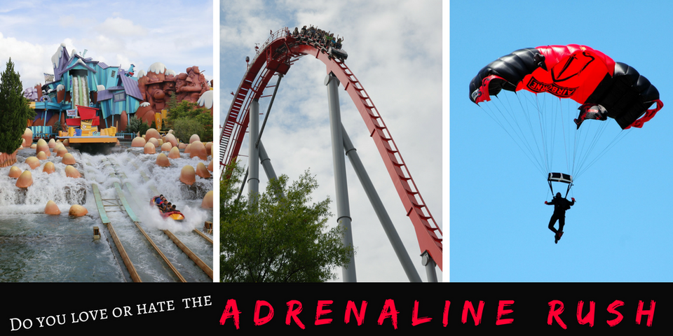 Roller Coaster Adrenaline Rush: A Love-Hate Relationship - NoMoNauseaBand