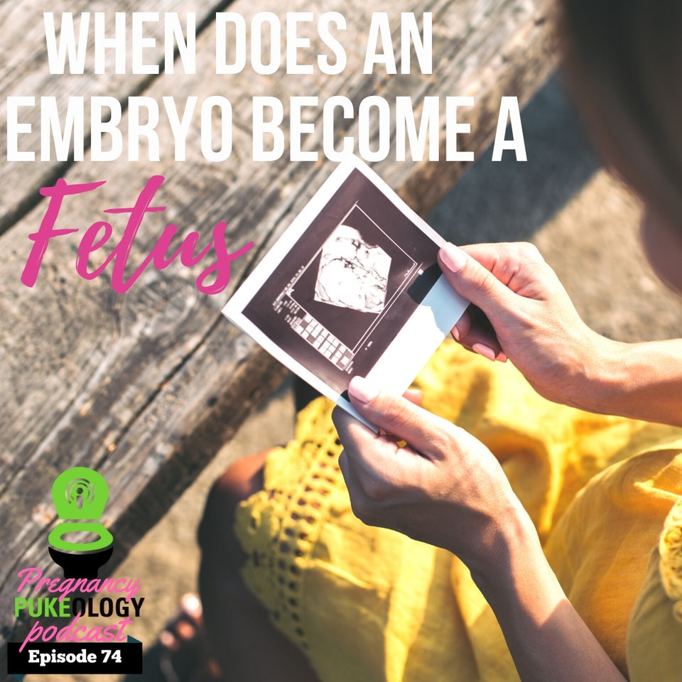 When Does An Embryo Become A Fetus?
