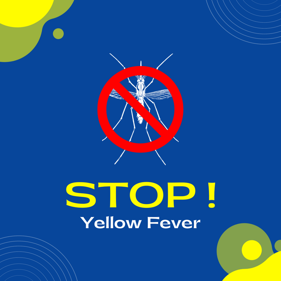 Yellow Fever: A Mosquitoe's purse